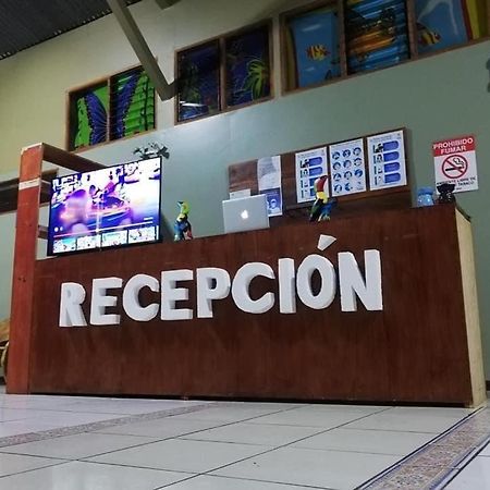 Hotel Sleeping Mountain Arenal La Fortuna Exterior foto